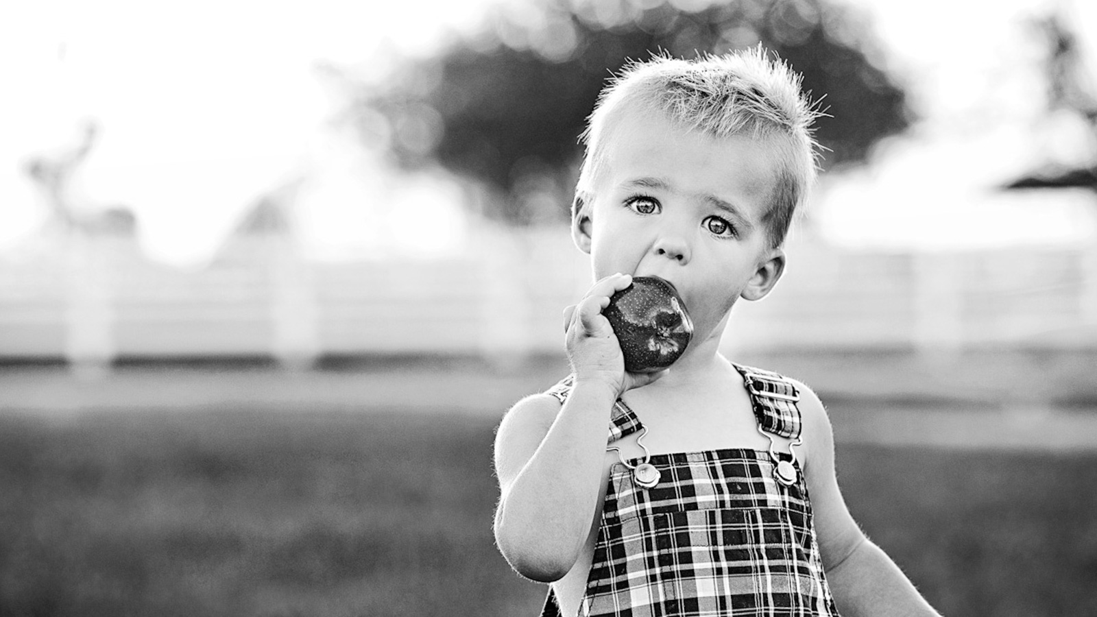 black and white photograph of a young boy eating an apple and wearing overalls.